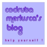 codruta's_blog.jpg